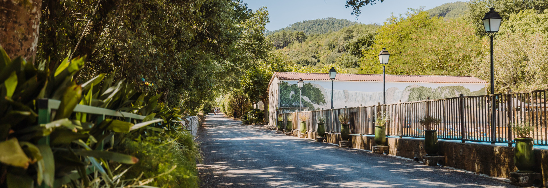 Allée Entrée Camping / Piscine