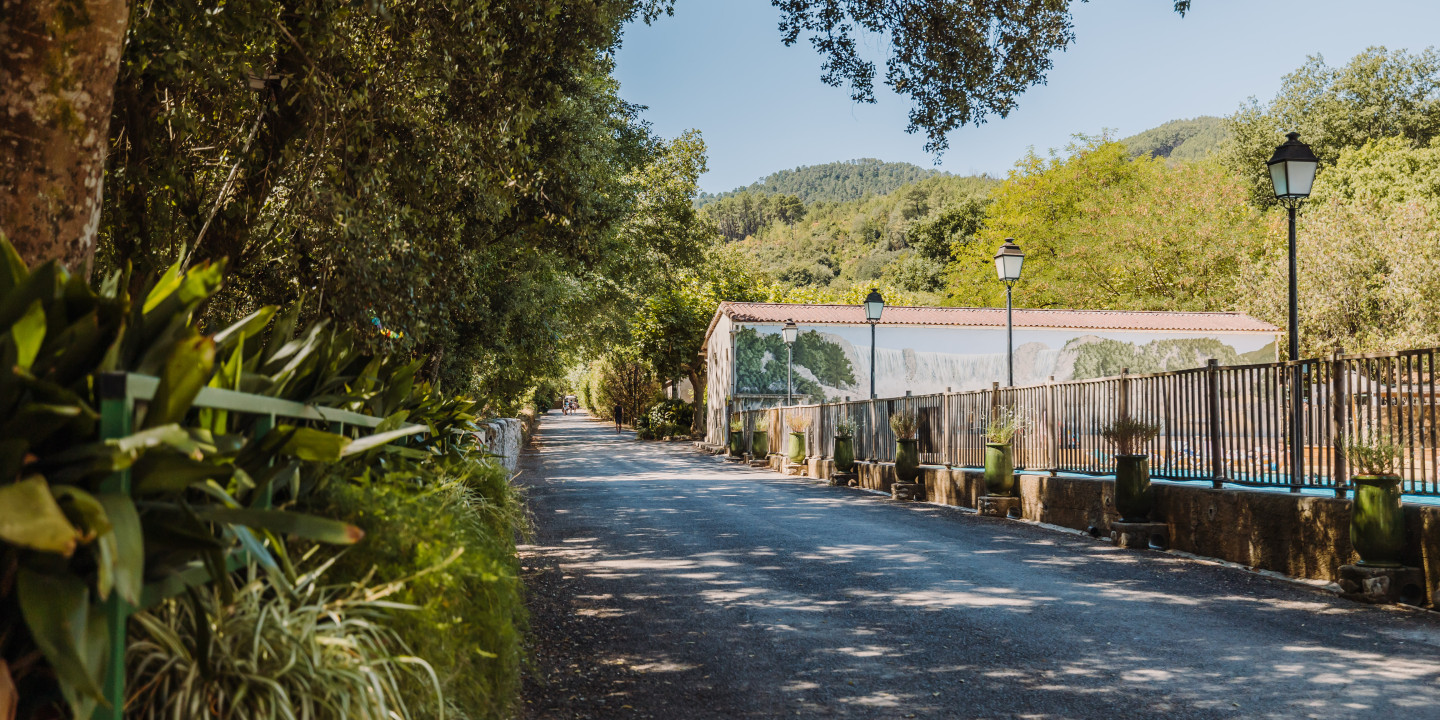 Allée Entrée Camping / Piscine