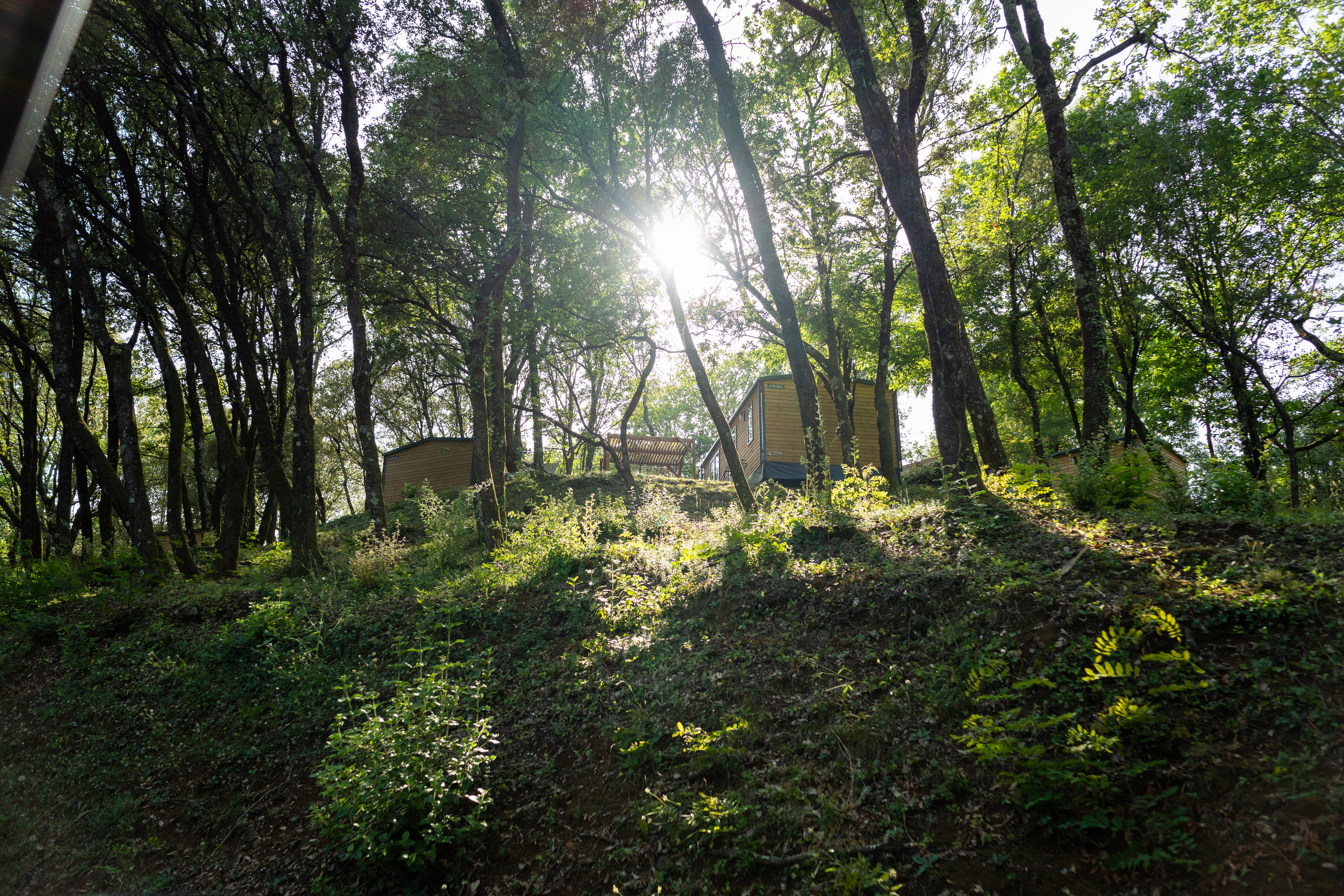 Mobil-home de Luxe Cévennes en pleine forêt